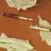 Dòng bút Montblanc Meisterstuck Le Petit Prince & Planet Doue và phiên bản bút máy burgundy sang trọng 9380C8B6 BBD2 45BB 894E 6CD86EECD793 1 201 a scaled 1