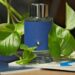 Montblanc Men’s Explorer Ultra Blue EDP - Mẫu nước hoa với hương thơm phiêu lưu và tự do DSCF4470 scaled 1